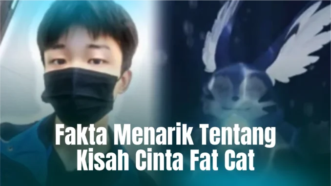 kisah-cinta-fat-cat