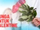 bunga-yang-cocok-untuk-valentine