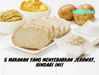 Makanan-yang-Menyebabkan-Jerawat