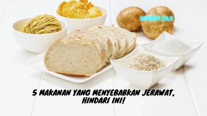 Makanan-yang-Menyebabkan-Jerawat