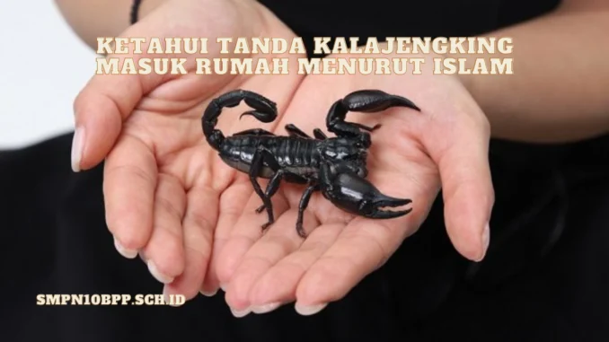 Tanda-Kalajengking-Masuk-Rumah-Menurut-Islam